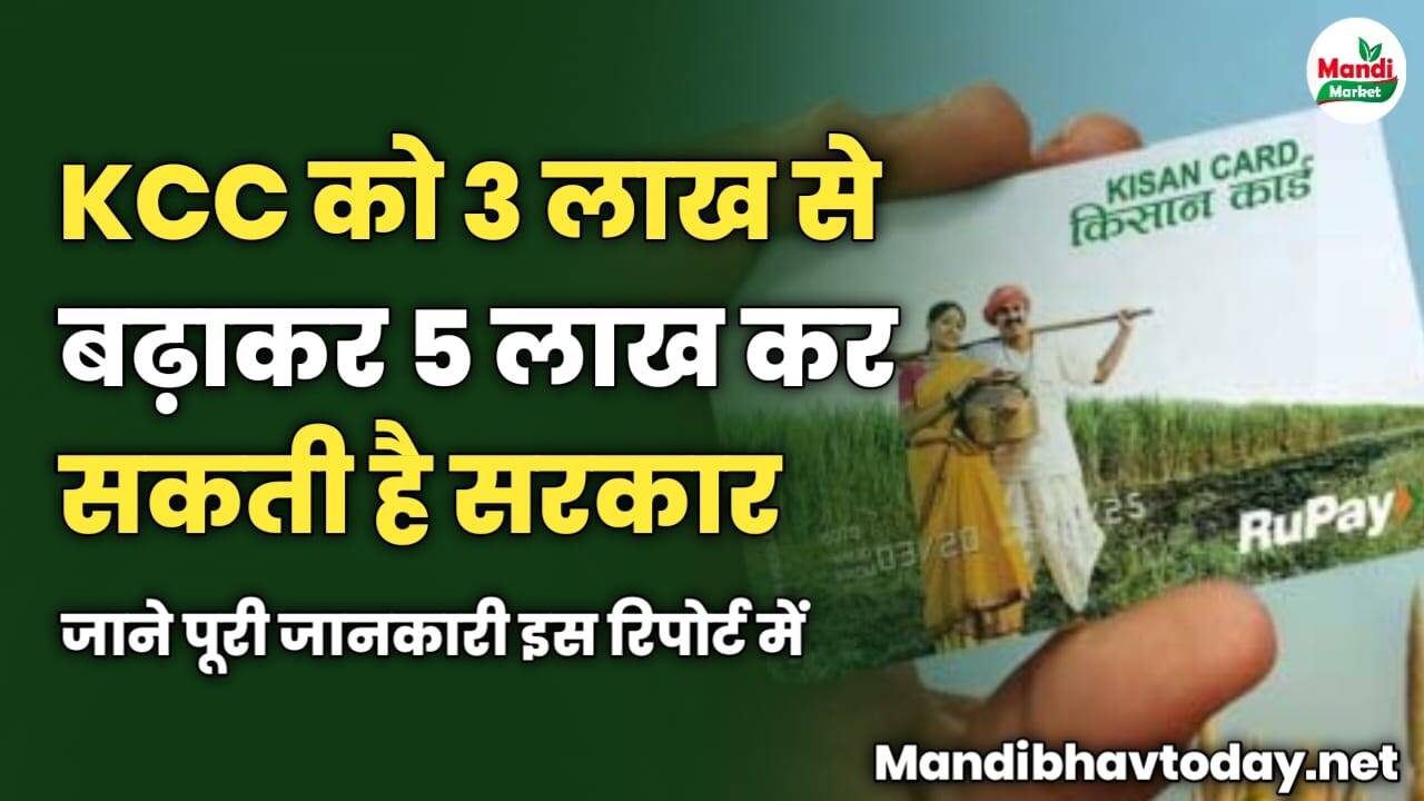 KCC को 3 लाख से बढ़ाकर 5 लाख कर सकती है सरकार | जाने पूरी जानकारी इस रिपोर्ट में 