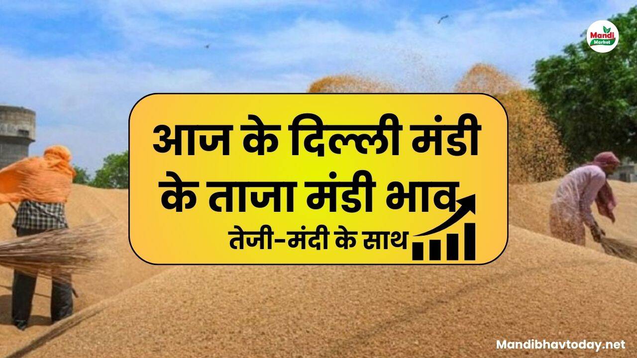 delhi mandi ke bhav 05 April 2025