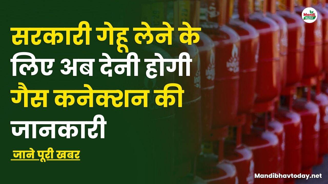 सरकारी गेहू लेने के लिए अब देनी होगी गैस कनेक्शन की जानकारी | जाने पूरी खबर