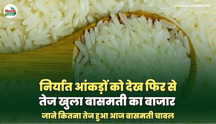 जाने कितना तेज हुआ आज बासमती चावल