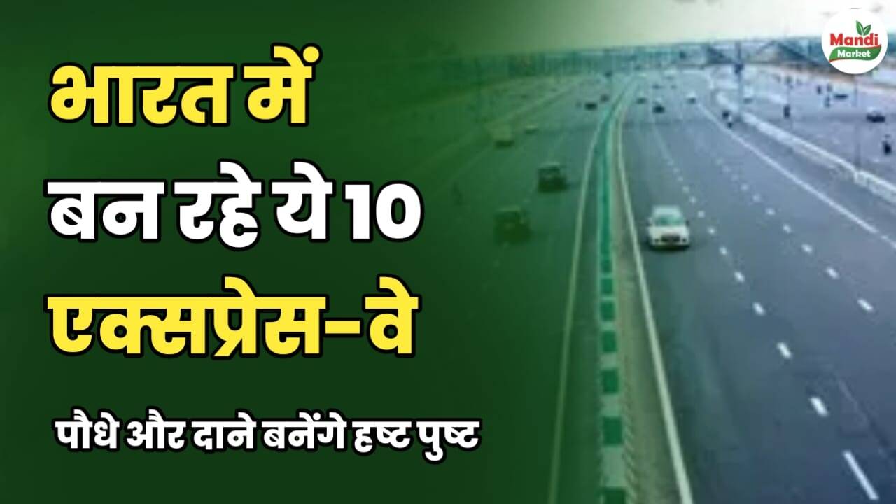 भारत में बन रहे ये 10 एक्सप्रेस-वे | जानिए किन इलाकों की बदलेगी किस्मत