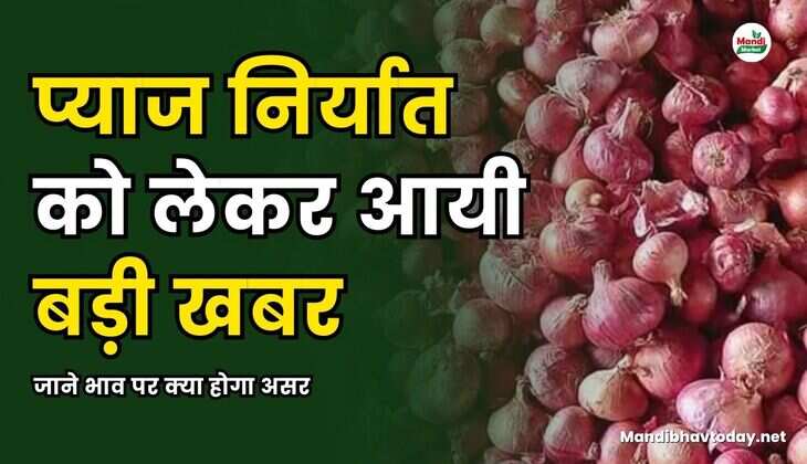 जाने भाव पर क्या होगा असर