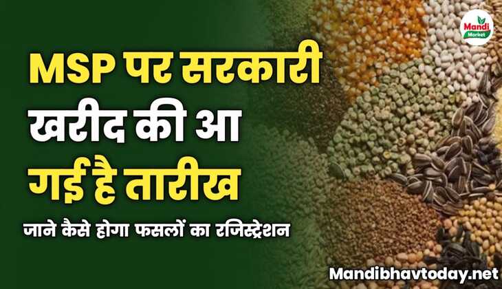 MSP पर सरकारी खरीद की तारीख आ गई है | जाने कैसे होगा रजिस्ट्रेशन