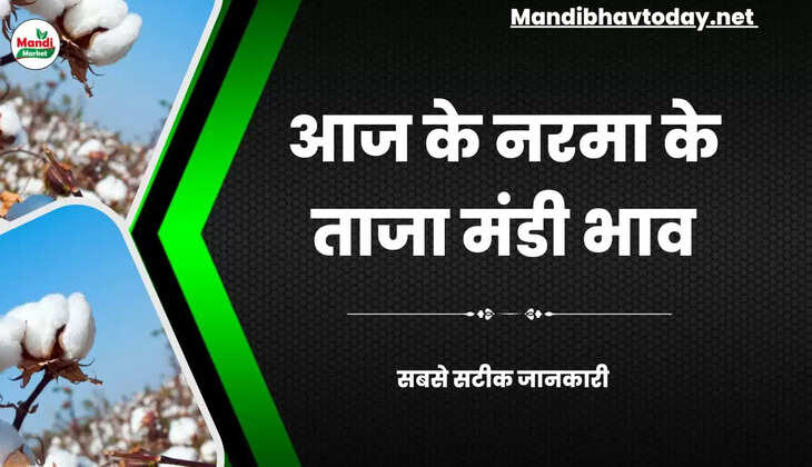 Aaj Ka Narma Ka bhav नरमा और कपास के ताजा मंडी भाव Narma Price Today 23 January 2023
