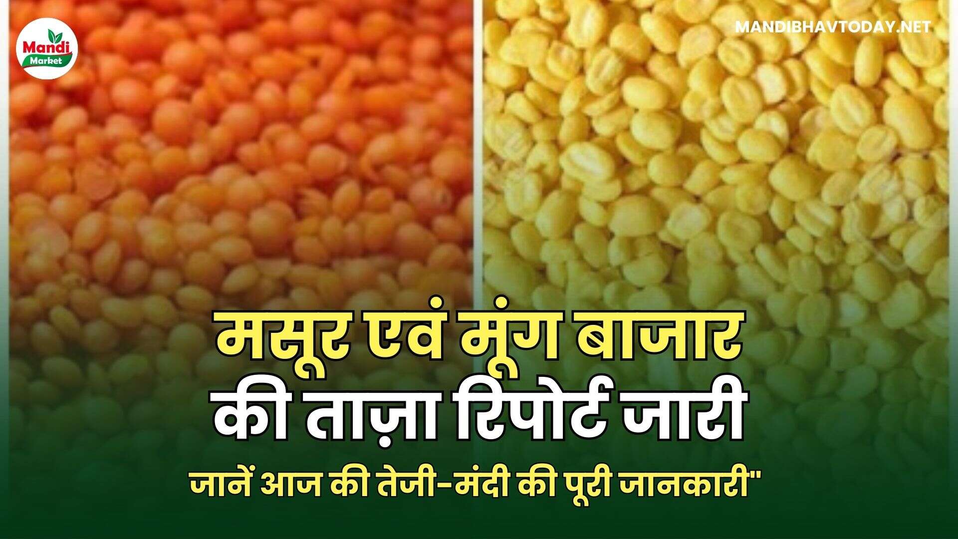 मसूर एवं मूंग बाजार की ताज़ा रिपोर्ट जारी | जानें आज की तेजी-मंदी की पूरी जानकारी" 25 अप्रैल 2025