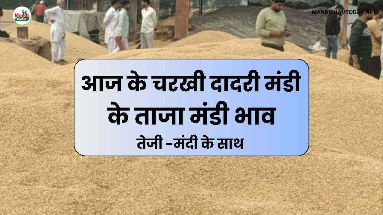 Charkhi Dadri Mandi Ke Bhav 12 May 25