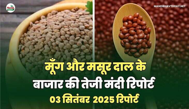 MANDIBHAVTODAY