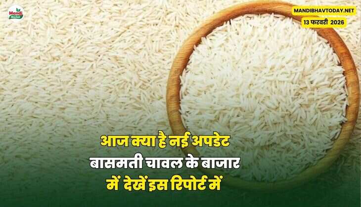  आज 14 फरवरी 2026 के चावल के लोड पोजीशन भाव
