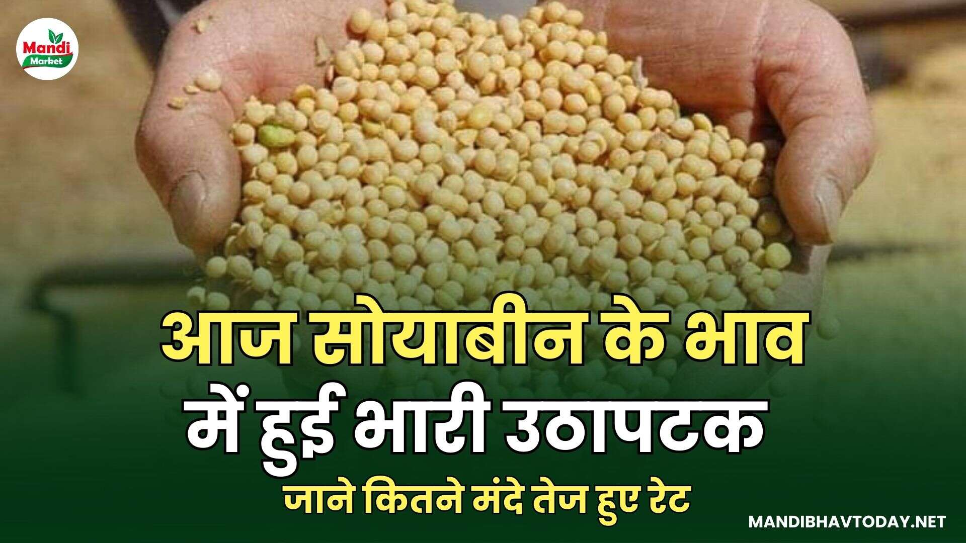 आज सोयाबीन के भाव में हुई भारी उठापटक | जाने कितने मंदे तेज हुए रेट