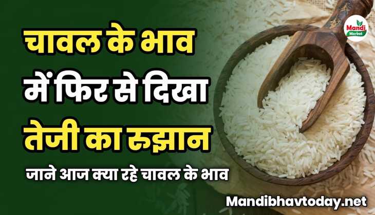 चावल के भाव में फिर से दिखा तेजी का रुझान | जाने आज क्या रहे चावल के भाव 