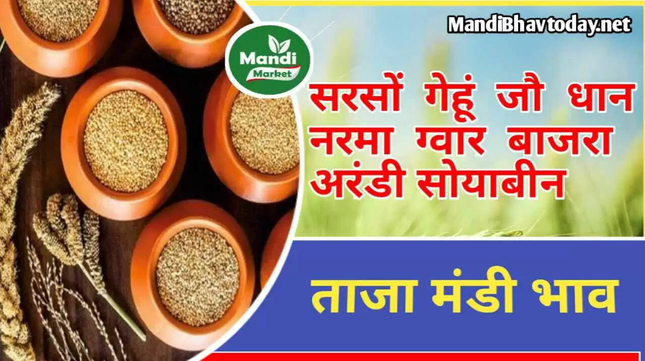 aanaj mandi bhav