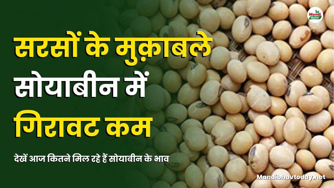 सोयाबीन के भाव