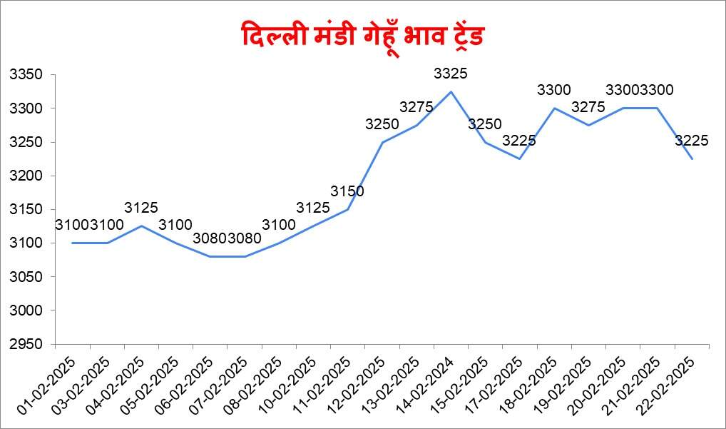 देखे आज के दिल्ली मंडी के ताजा मंडी भाव | delhi mandi ke bhav 22 February 2025
