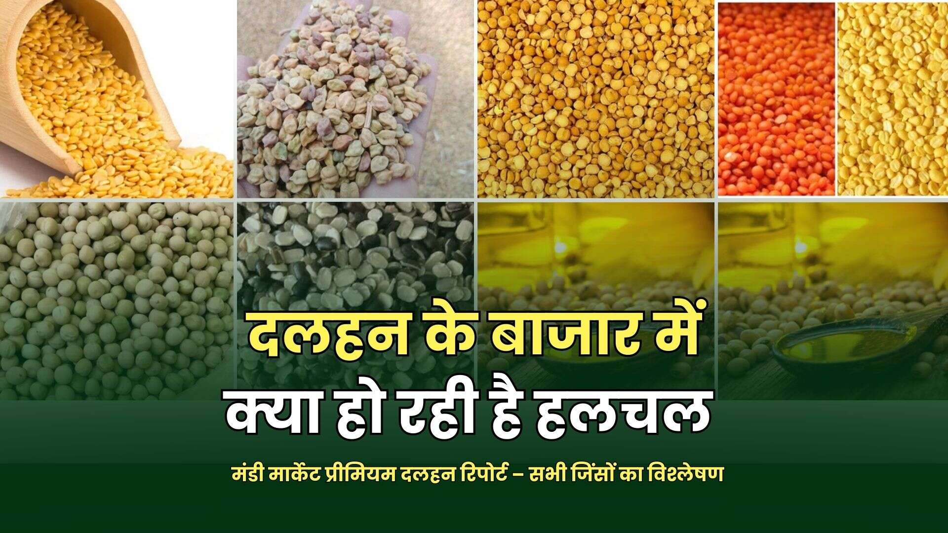 मंडी मार्केट प्रीमियम दलहन रिपोर्ट – सभी जिंसों का विश्लेषण