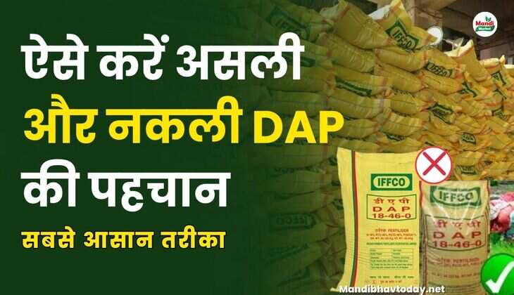 ऐसे करें असली और नकली DAP की पहचान | सबसे आसान तरीका