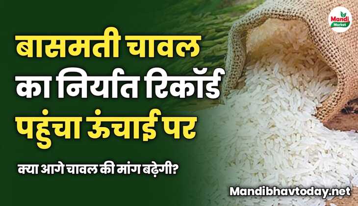 बासमती चावल का निर्यात रिकॉर्ड पहुंचा ऊंचाई पर | क्या आगे चावल की मांग बढ़ेगी?