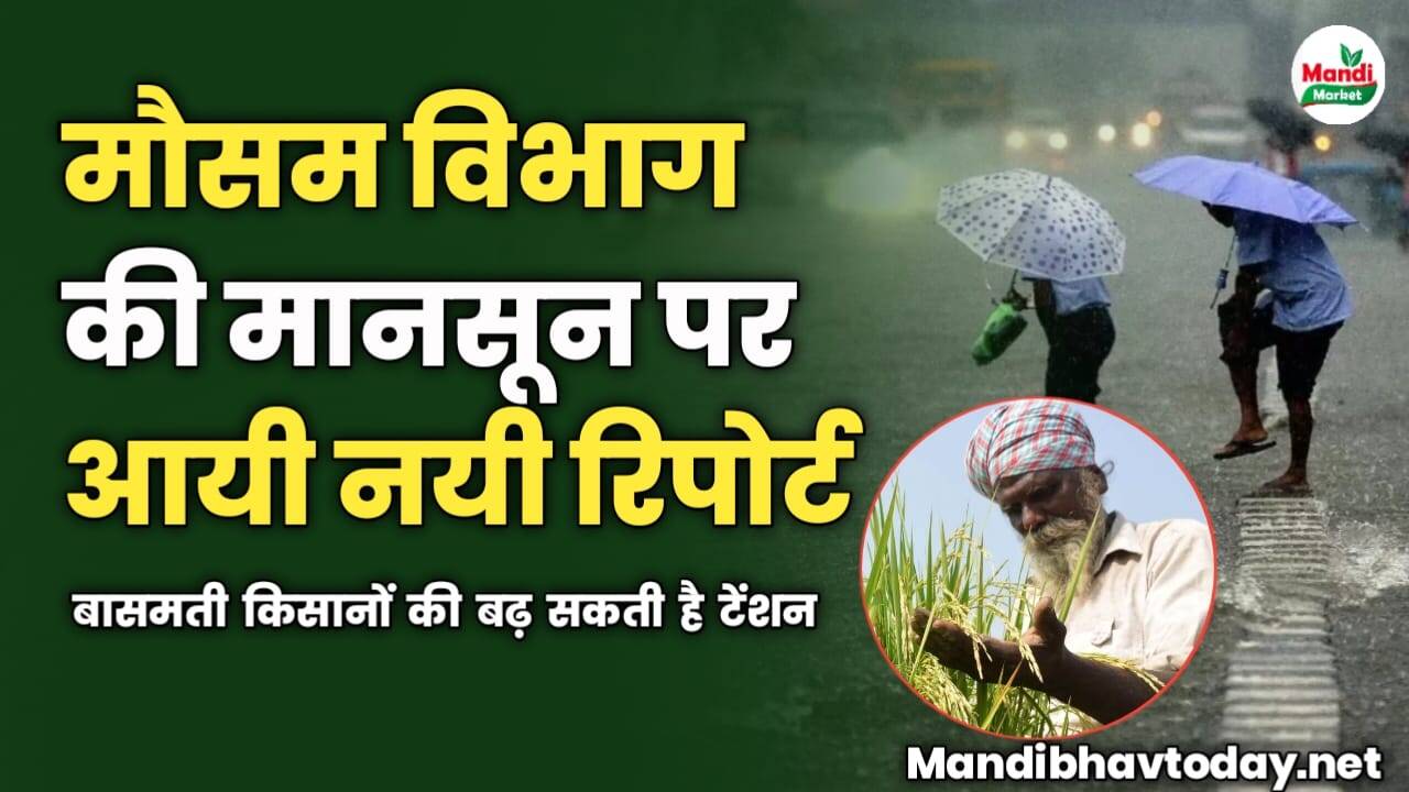 मौसम विभाग की मानसून पर आयी नयी रिपोर्ट | बासमती किसानों की बढ़ सकती है टेंशन