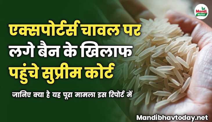 एक्सपोर्टर्स चावल पर लगे बैन के खिलाफ पहुंचे सुप्रीम कोर्ट | जानिए क्या है यह पूरा मामला?