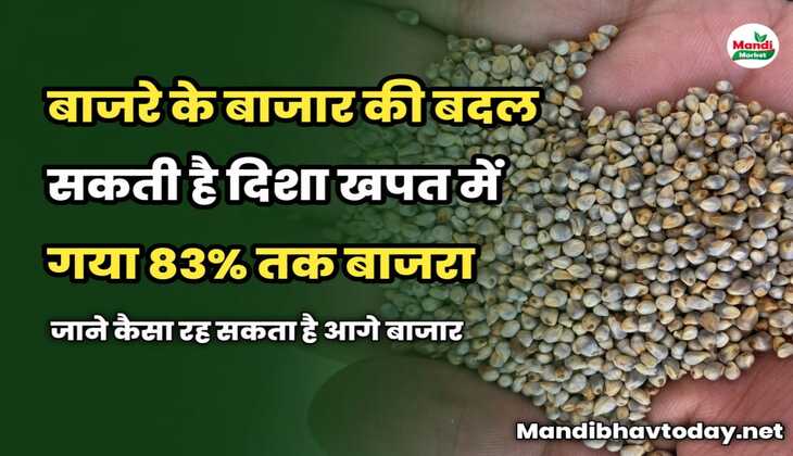 बाजरे के बाजार की बदल सकती है दिशा | खपत में गया 83% तक बाजरा | जाने कैसा रह सकता है आगे बाजार