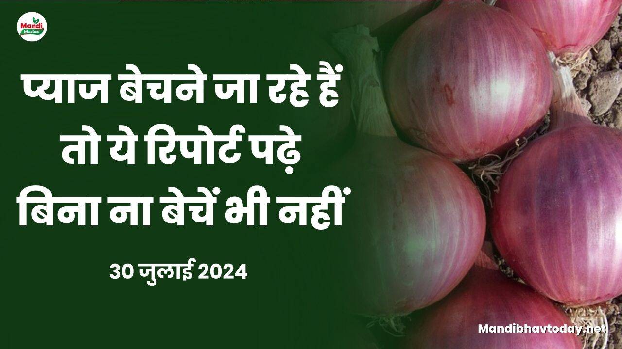 प्याज बेचने जा रहे हैं तो ये रिपोर्ट पढ़े बिना ना बेचें भी नहीं