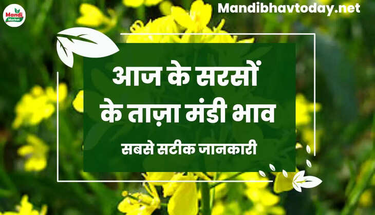  Sarso Live Rate Today 17 Oct 2022 