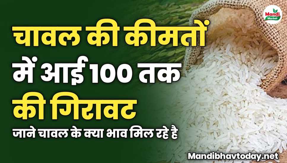 चावल की कीमतों में आई 100 तक की गिरावट | जाने चावल के क्या भाव मिल रहे है 