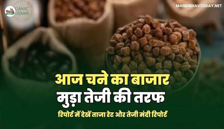 chnaरिपोर्ट