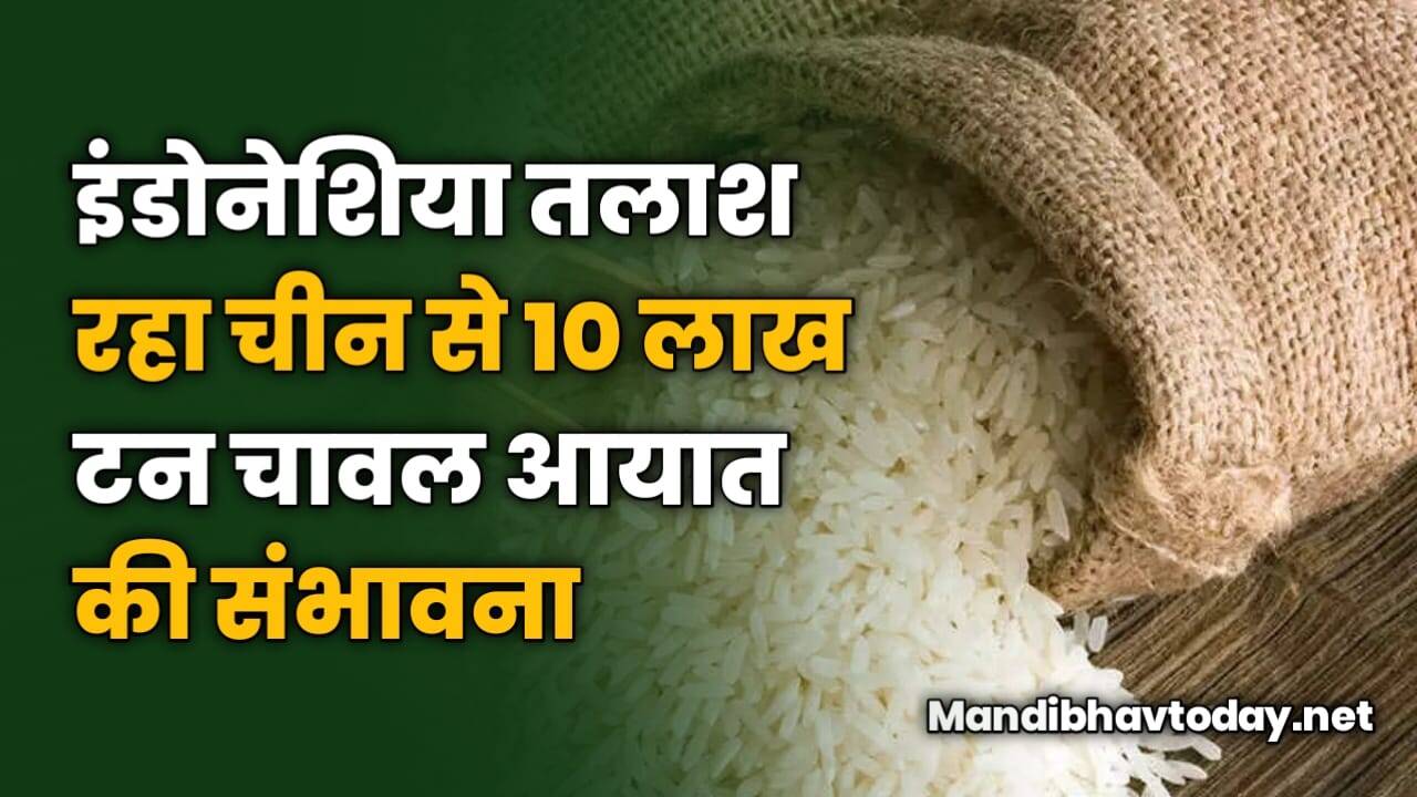 इंडोनेशिया तलाश रहा चीन से 10 लाख टन चावल आयात की संभावना | जाने इस रिपोर्ट में