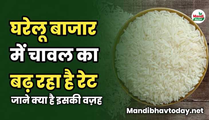 घरेलू बाजार में चावल का बढ़ रहा है रेट | जाने क्या है इसकी वज़ह