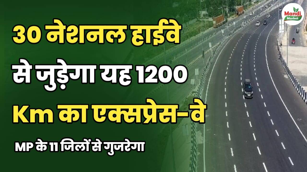 30 नेशनल हाईवे से जुड़ेगा यह 1200 किमी का एक्सप्रेस-वे | MP के 11 जिलों से गुजरेगा