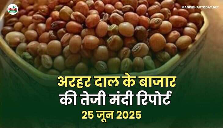 अरहेर डाल images