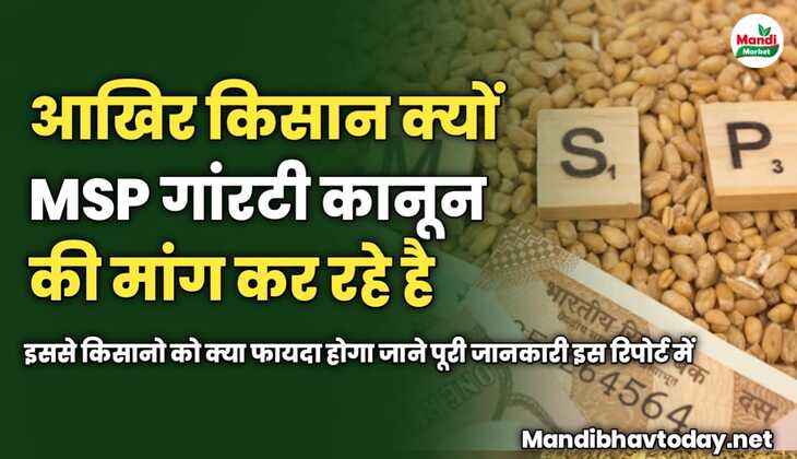 किसान क्यों एमएसपी गांरटी कानून की मांग कर रहे है | इससे किसानो को क्या फायदा होगा जाने पूरी जानकारी इस रिपोर्ट में 