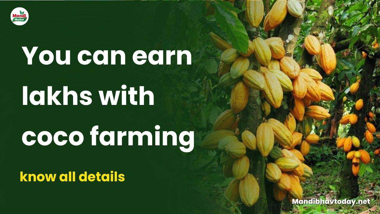 know all details