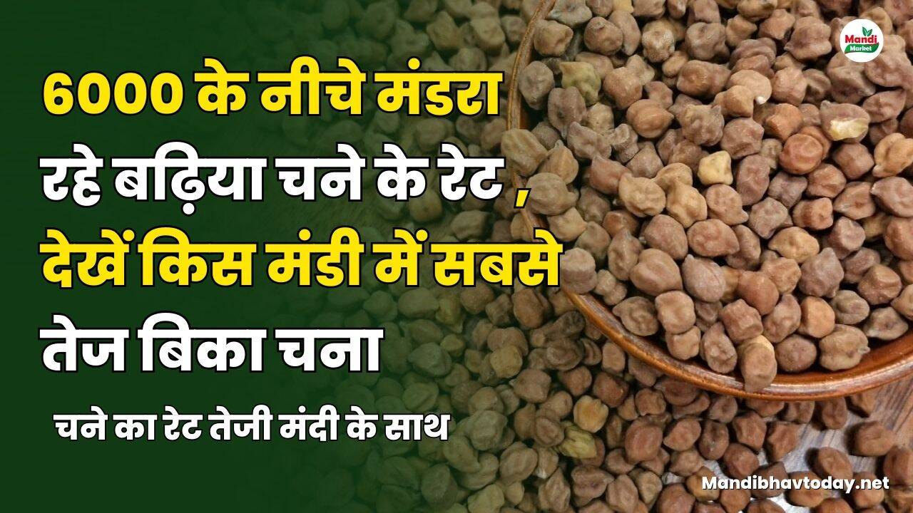चने का रेट तेजी मंदी के साथ