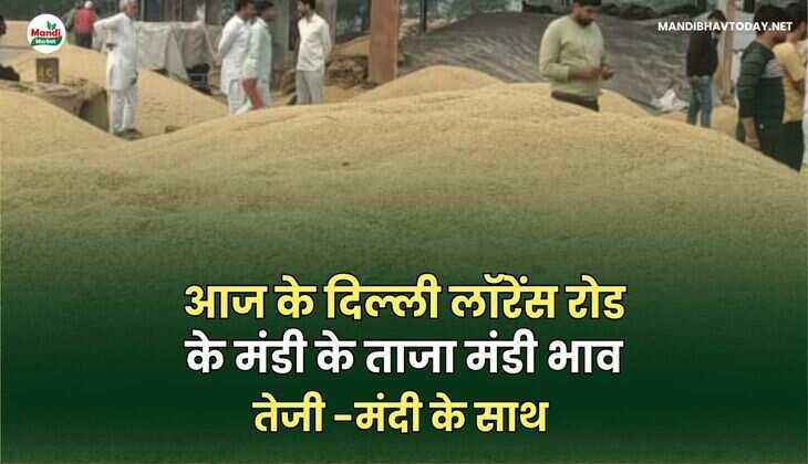 Delhi Lawrence Road market opening rate 