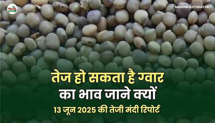 ग्वार image