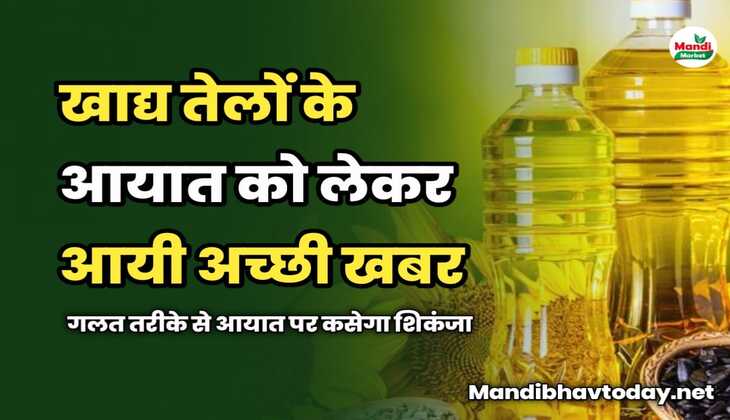 खाद्य तेलों के आयात को लेकर आयी अच्छी खबर | गलत तरीके से आयात पर कसेगा शिकंजा