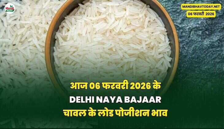 आज 06 फरवरी  2026 के DELHI NAYA BAJAAR चावल के लोड पोजीशन भाव