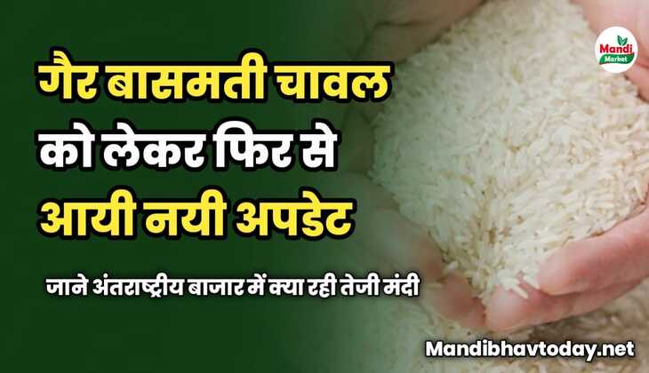 गैर बासमती चावल को लेकर फिर से आयी नयी अपडेट | जाने अंतराष्ट्रीय बाजार में क्या रही तेजी मंदी