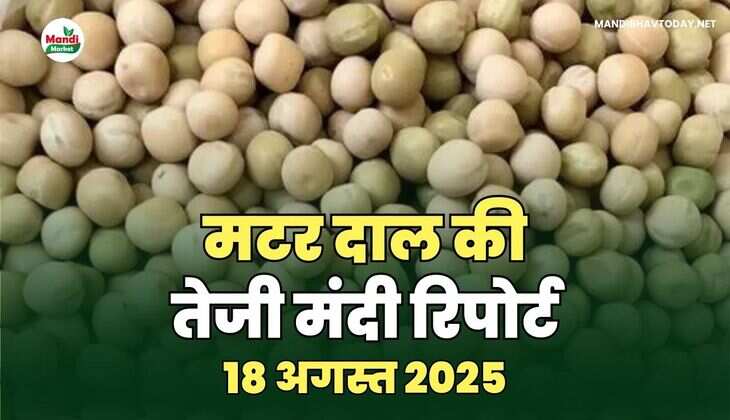 18 अगस्त 2025