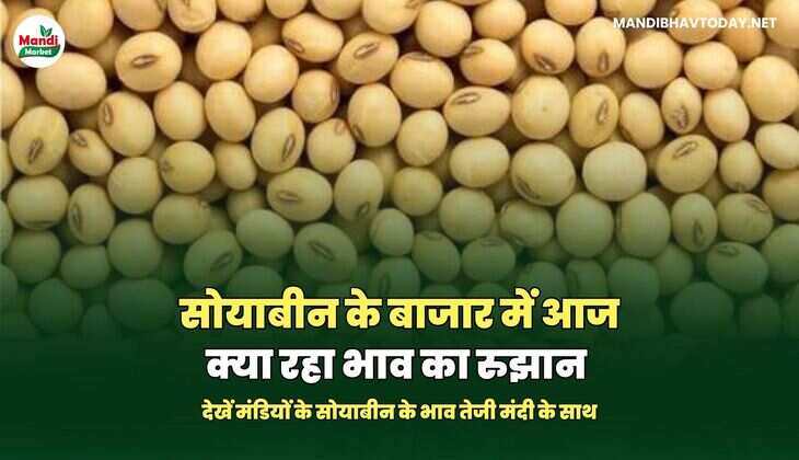 सोयाबीन IMAGES