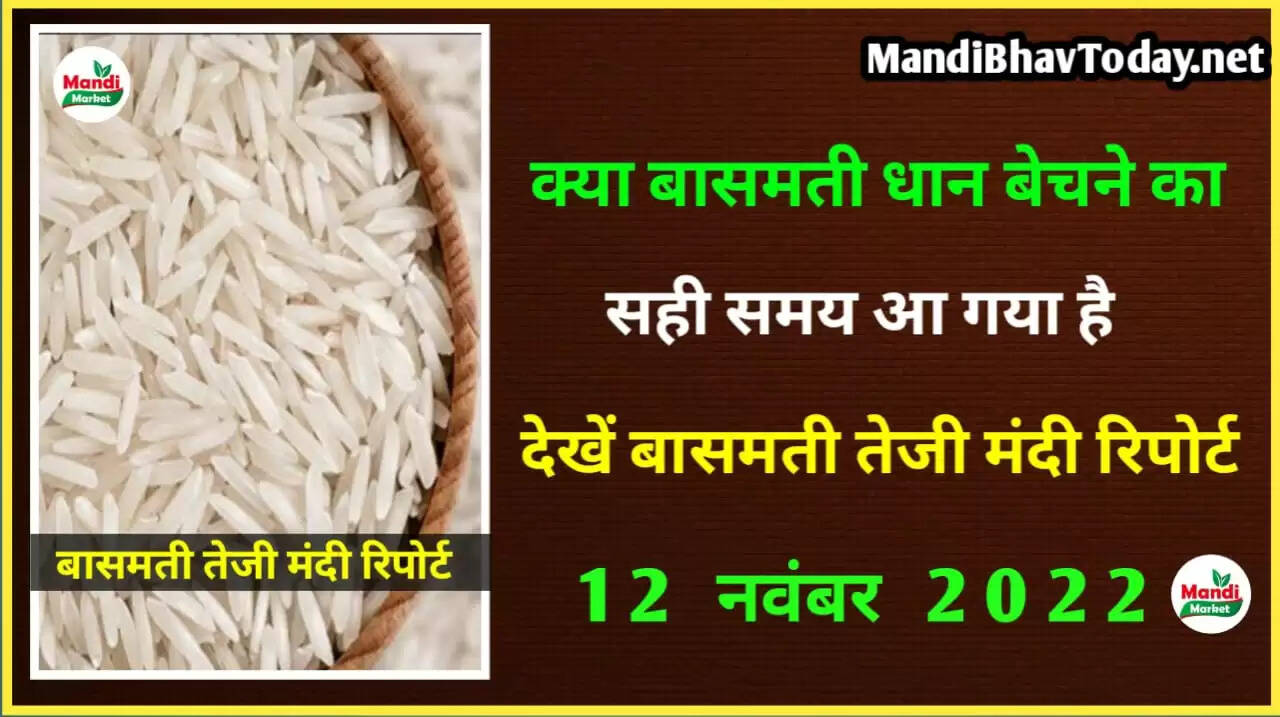 basmati rice