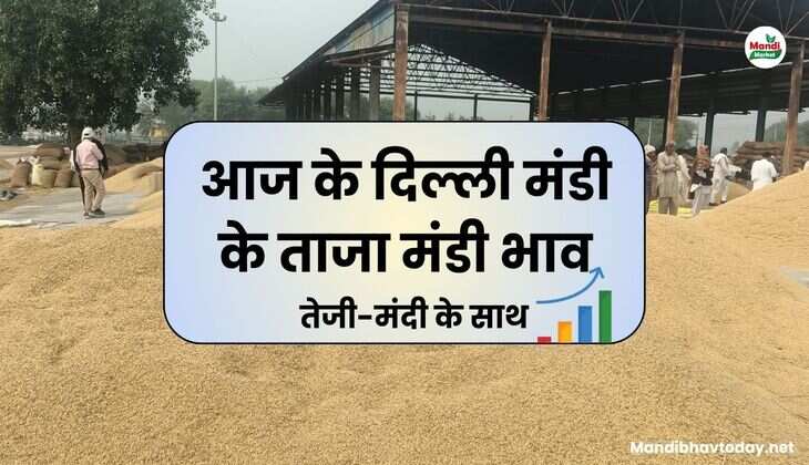 Delhi Lawrence Road market opening rate