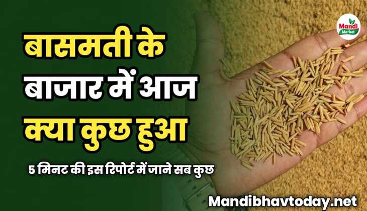 बासमती के बाजार में आज क्या कुछ हुआ | 5 मिनट की इस रिपोर्ट में जाने सब कुछ
