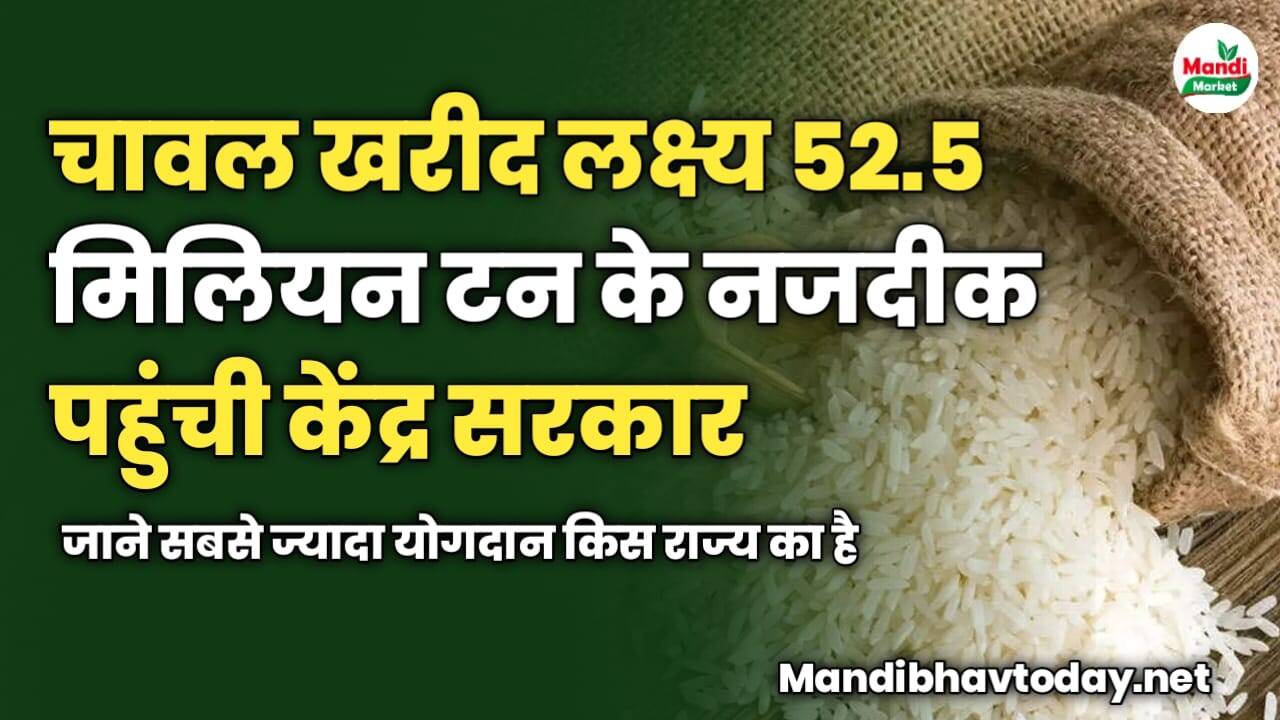 चावल खरीद लक्ष्य 52.5 मिलियन टन के नजदीक पहुंची केंद्र सरकार | जाने सबसे ज्यादा योगदान किस राज्य का है