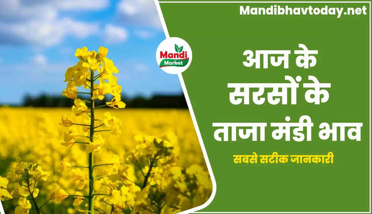 देखें आज के सरसों के लाइव रेट Sarso Live Rate Today 22 Feb 2023