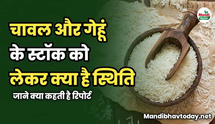 चावल और गेहूं के स्टॉक को लेकर क्या है स्थिति | जाने क्या कहती है रिपोर्ट