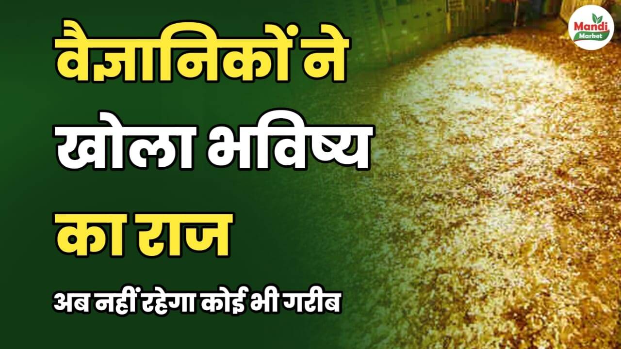 वैज्ञानिकों ने खोला भविष्य का राज। अब नहीं रहेगा कोई भी गरीब