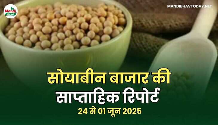  24- 01 जून 2025