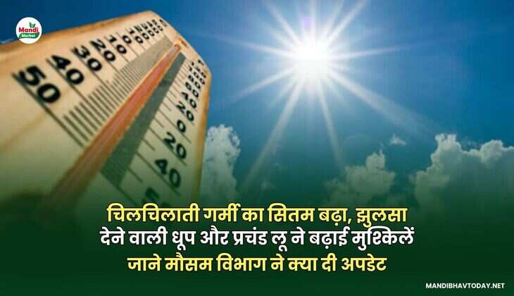  चिलचिलाती गर्मी का सितम बढ़ा, झुलसा देने वाली धूप और प्रचंड लू ने बढ़ाई मुश्किलें | जाने मौसम विभाग ने क्या दी अपडेट